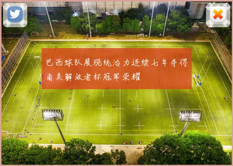 巴西球队展现统治力连续七年夺得南美解放者杯冠军荣耀