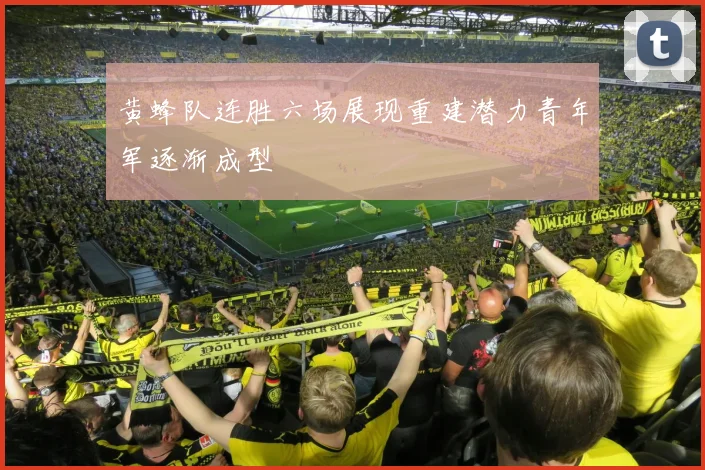 黄蜂队连胜六场展现重建潜力青年军逐渐成型