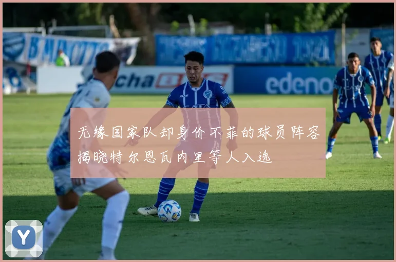 无缘国家队却身价不菲的球员阵容揭晓特尔恩瓦内里等人入选